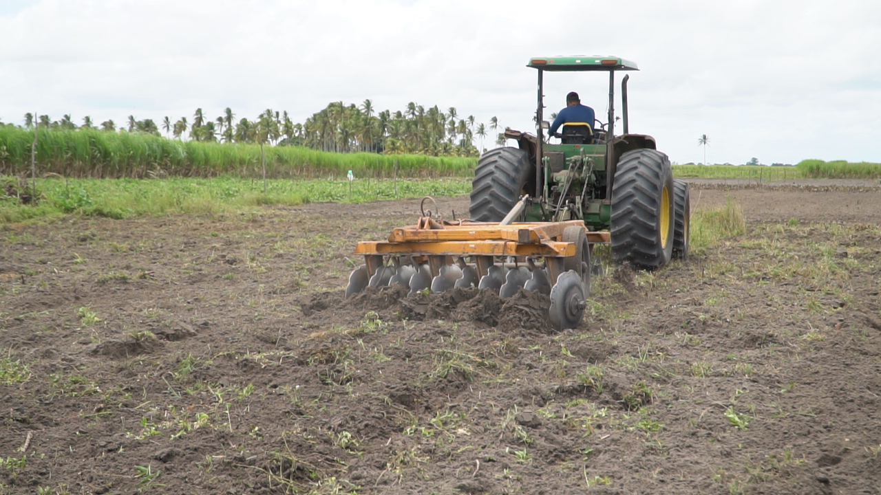 Aqui a gente cuida: Programa de Mecanização Agrícola ultrapassa 370 atendimentos e fortalece a produção rural em Coruripe