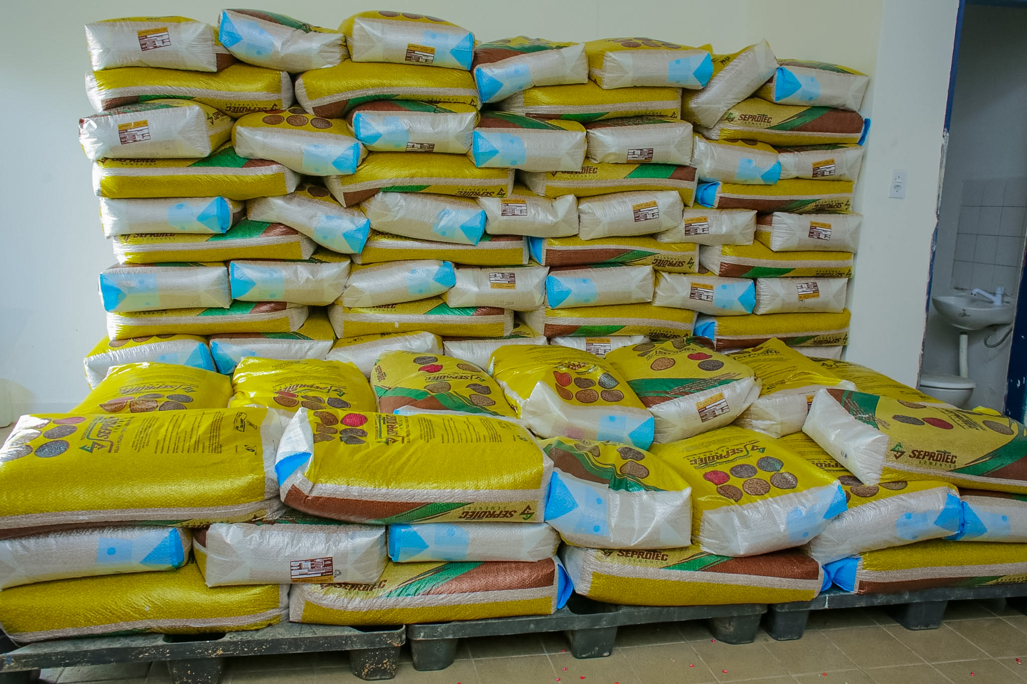 Coruripe recebe sementes do Projeto Maná 2026 para fortalecer agricultura familiar