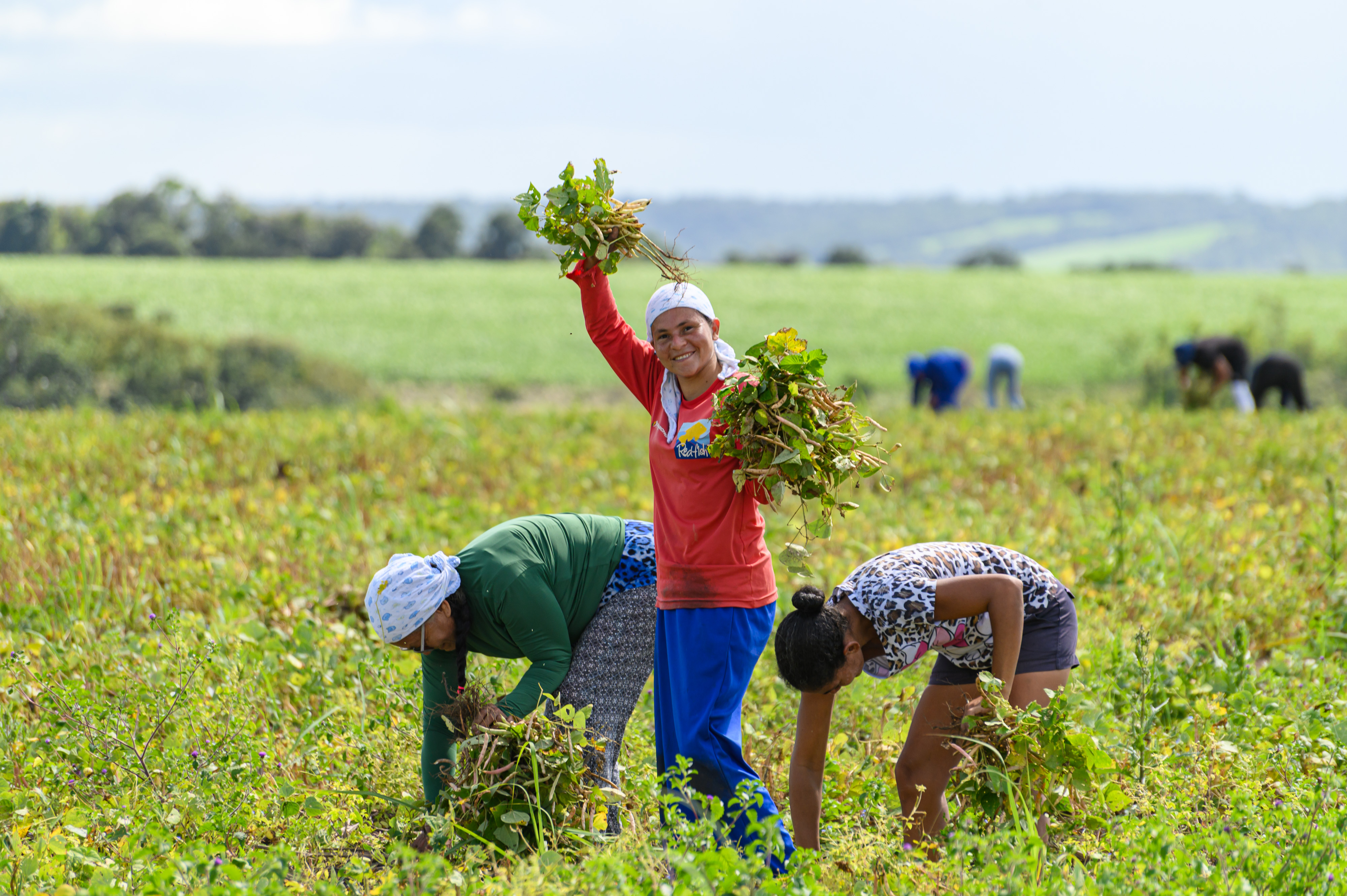 Projeto Maná 2026 amplia alcance e transforma a realidade de mais de 1.200 famílias do campo em Coruripe