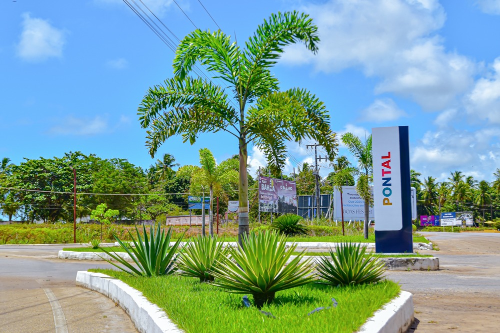 Arborização e Paisagismo: Coruripe alcança a marca de 5 mil mudas plantadas em 3 anos
