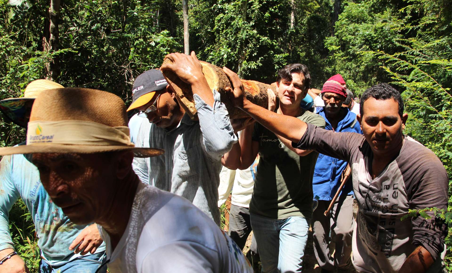 Busca do mastro abre programação da padroeira de Coruripe Nossa Senhora da Imaculada Conceição