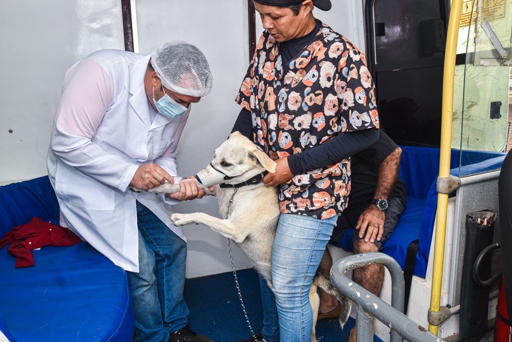 Prefeitura de Coruripe realiza 3º Mutirão de Castração gratuita e itinerante de cães e gatos