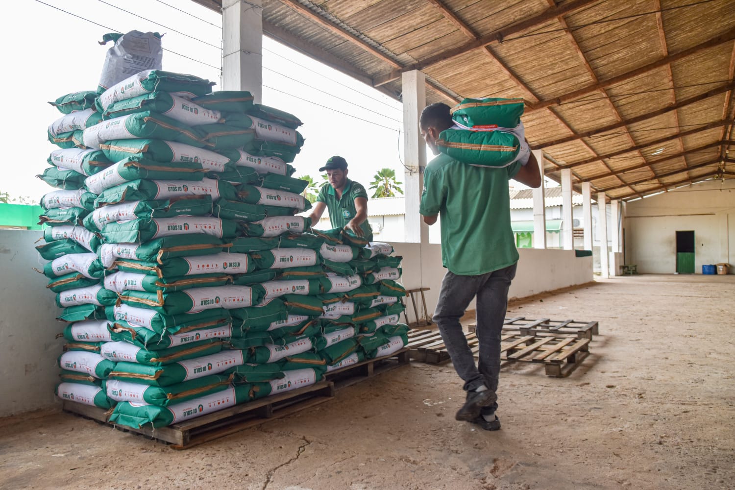 Ano III: Sementes para mais uma edição Projeto Maná já estão em Coruripe