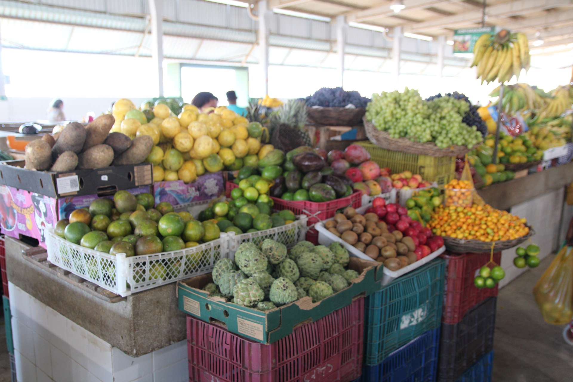 Semana Santa: Confira o cronograma de funcionamento do Mercado Público e Feiras Livres