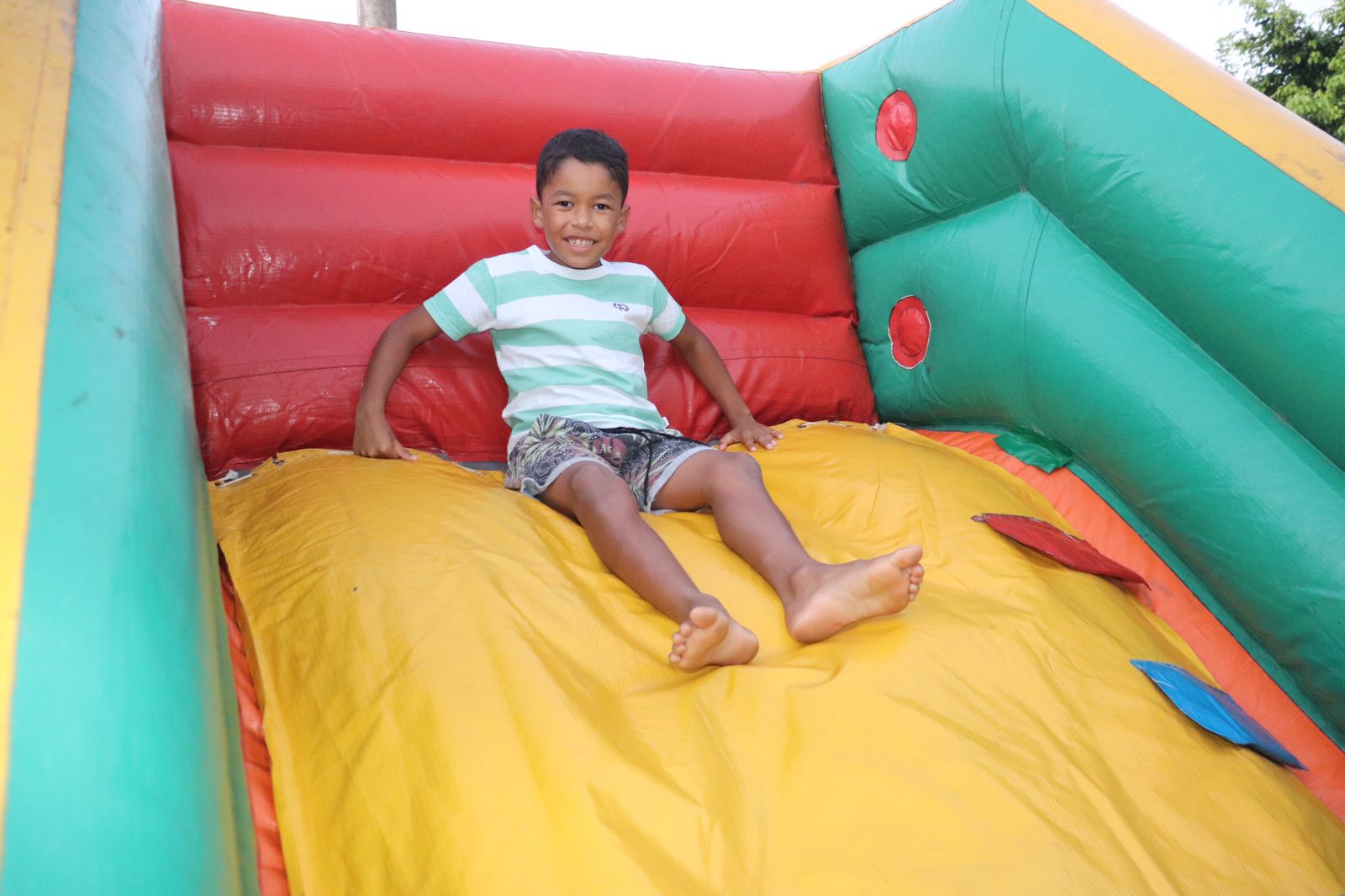 tardezinha da alegria