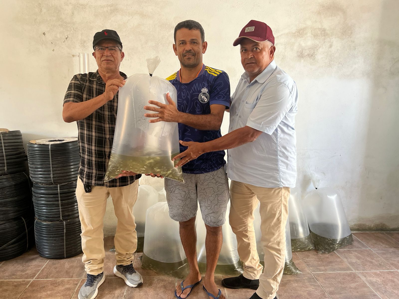 Aquicultores palestinenses são contemplados com 10 mil alevinos