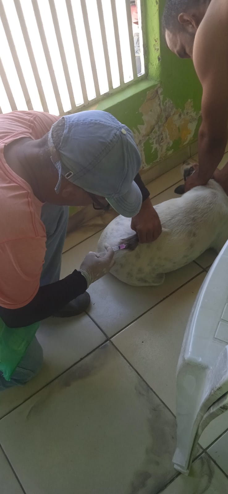 campanha de vacinação