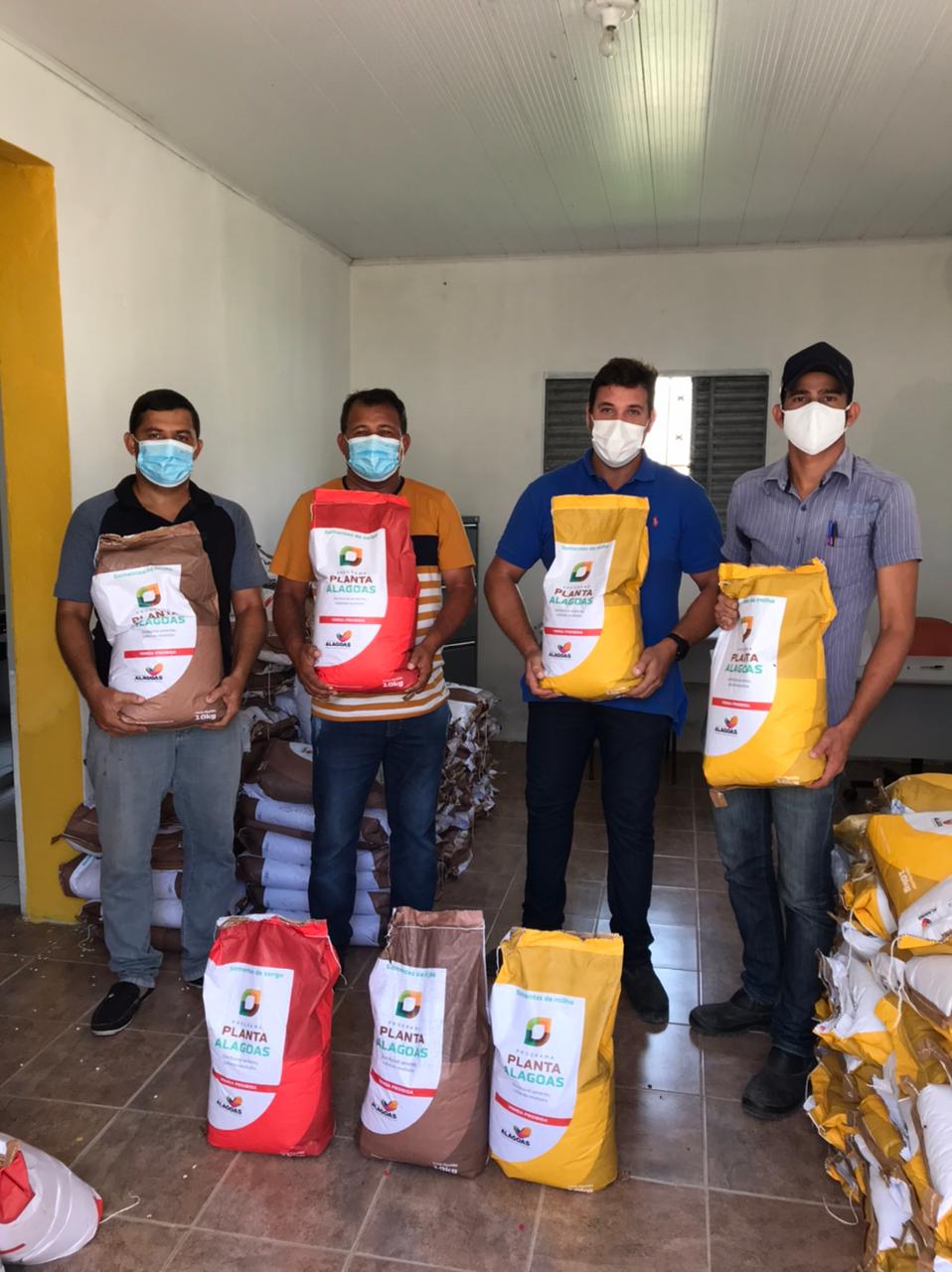 Planta Alagoas secretaria de agricultura recebeu mais de 2150 KG de sementes