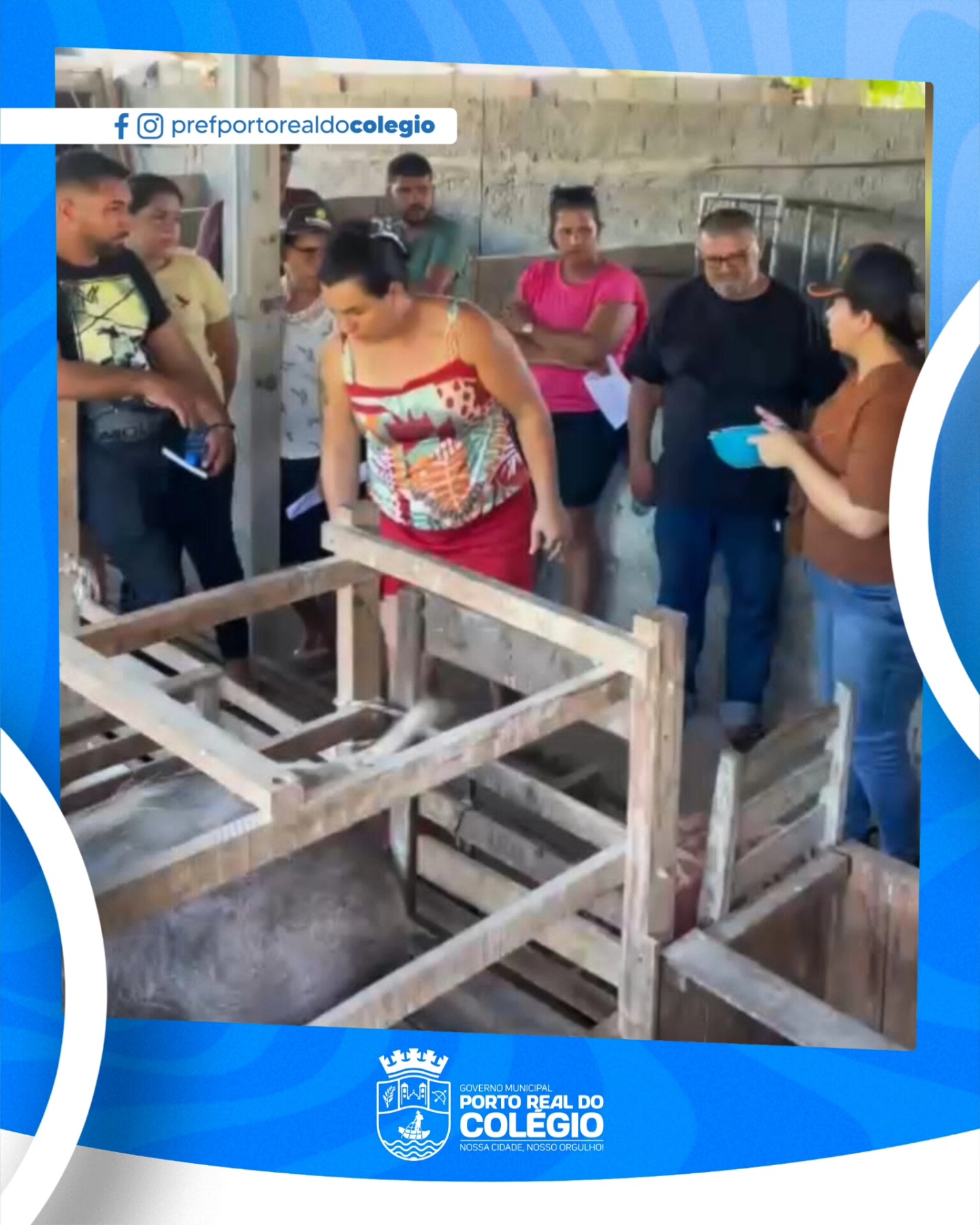 CURSO DE CRIAÇÃO DE SUINO