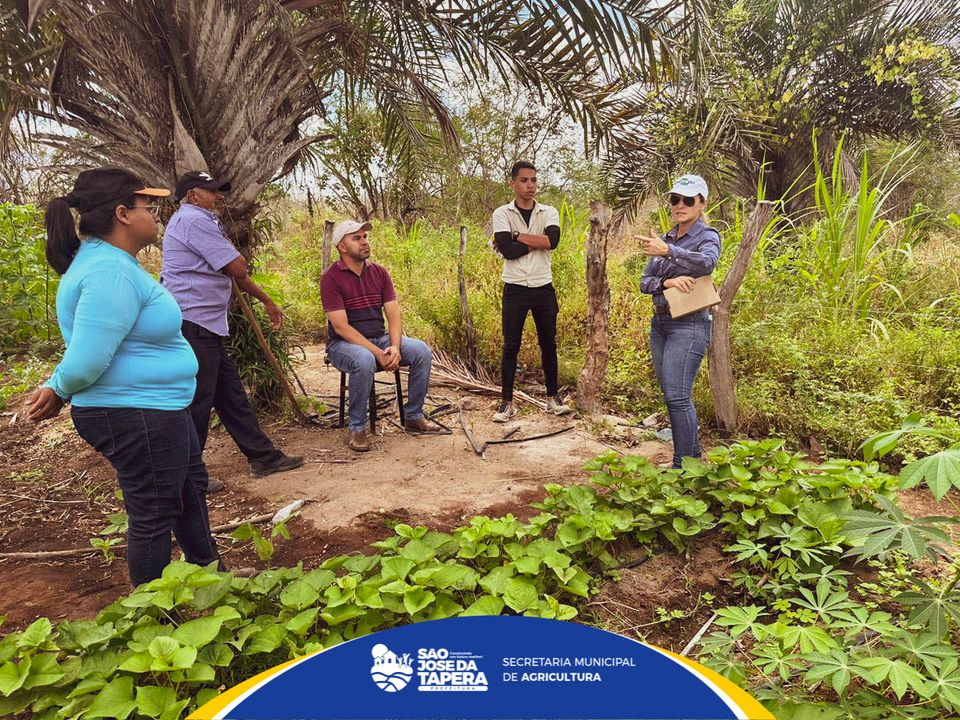 Implantação de uma área experimental no nosso município.