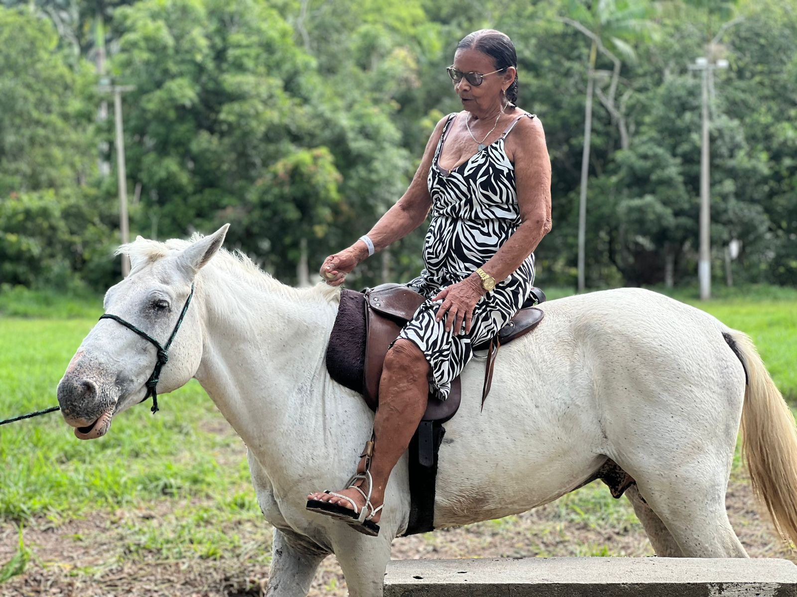 Foto da Not&iacute;cia