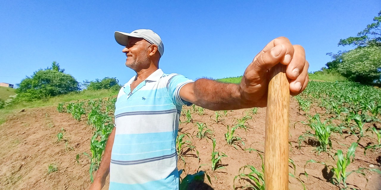 Projeto garante terra, assistência técnica e comercialização em Viçosa